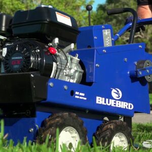 Blue Bird SOD